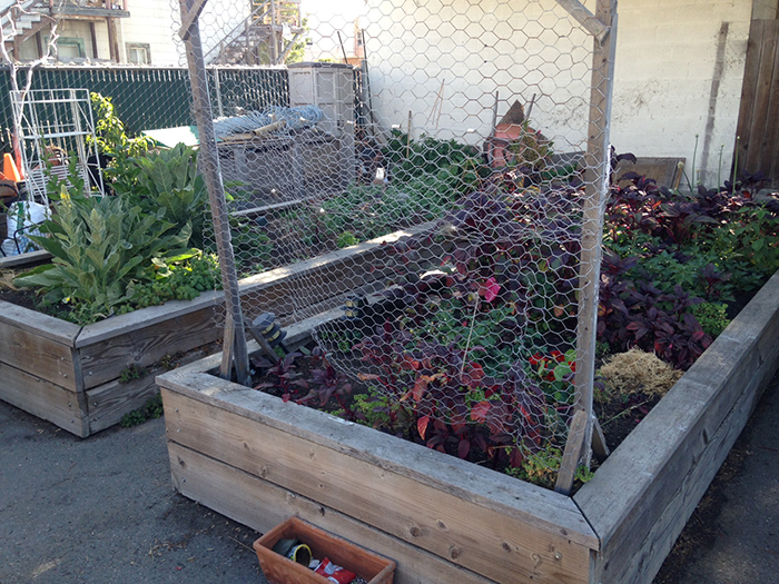 The garden at Nevin Avenue and First Street in Richmond has a tragic past that gave way to a promising and inspiring future.